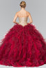 Image of Quinceaneras dress
