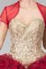 Image of Quinceaneras dress