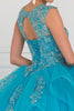 Image of Tulle Embroidered Ball Gown Dress with Bolero.