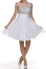 Image of SHORT PARTY DRESS 257-29W